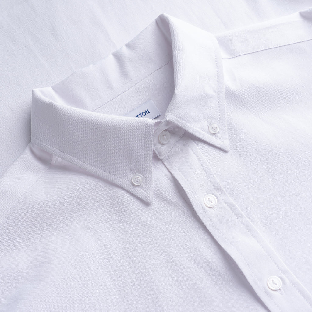 Oxford Button Down