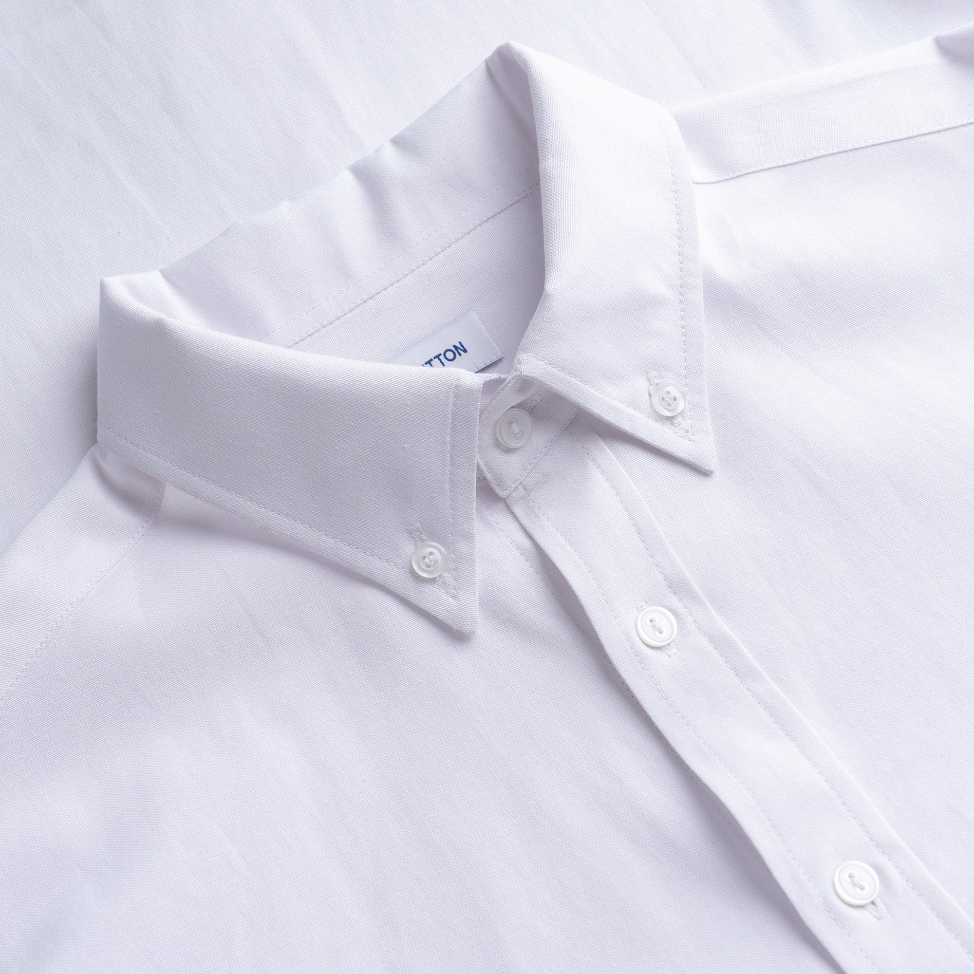 Oxford Button Down